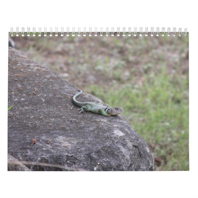 CALENDRIER 2026 (Protection)