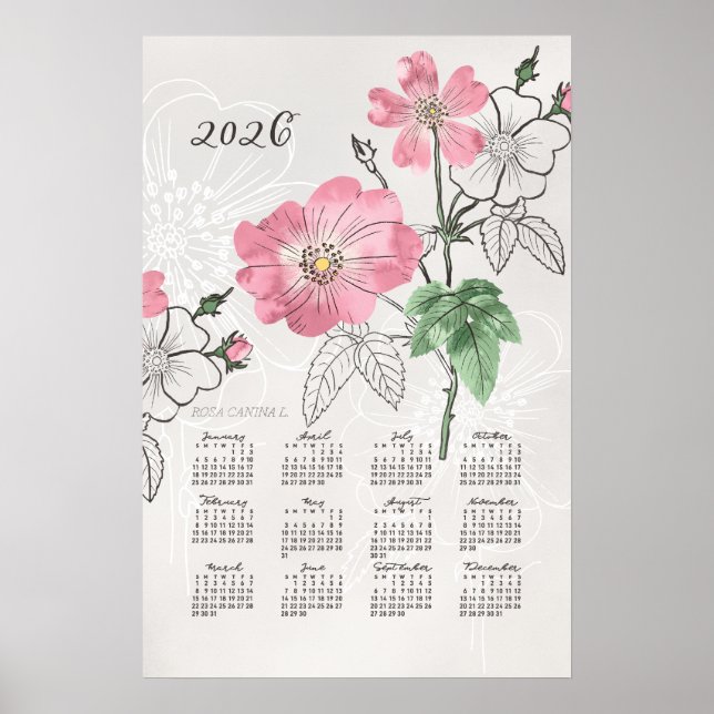 Calendrier 2026 Affiche Rose Botanique (Devant)