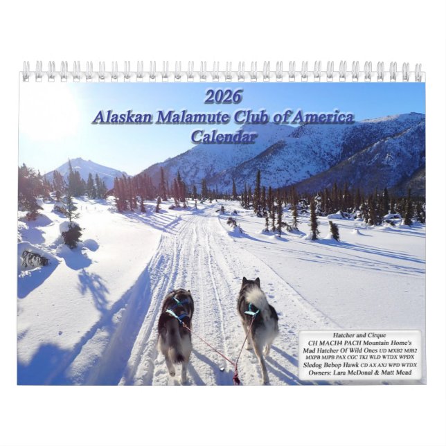 Calendrier 2026 Alaskan Malamute Club of America Calendar (Protection)