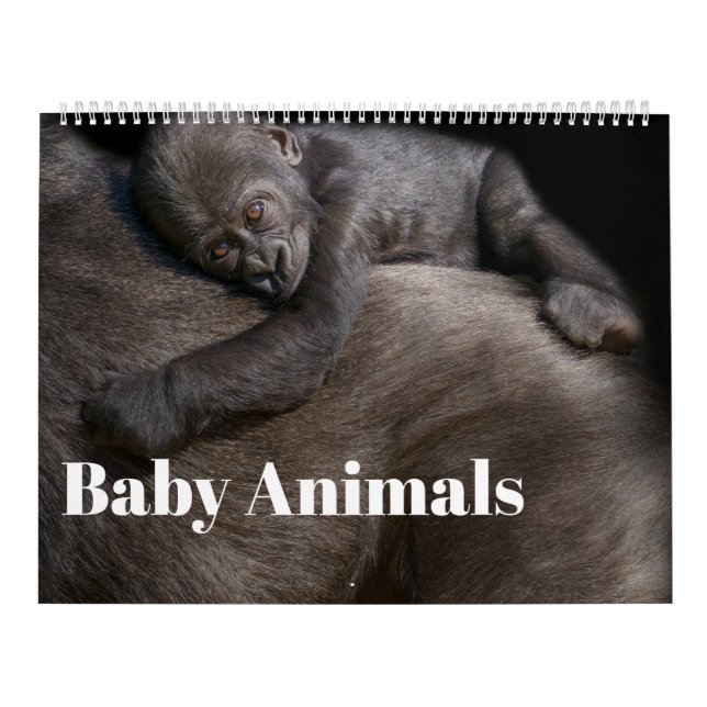 Calendrier 2026 Animaux de bébés (Protection)