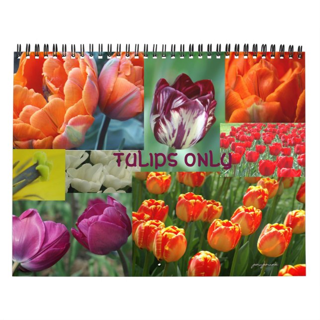 Calendrier 2026 année de la tulipe (Protection)