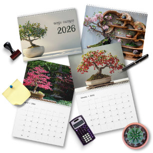 Calendrier 2026 Art Bonsaï Zen   Photographie Minimaliste