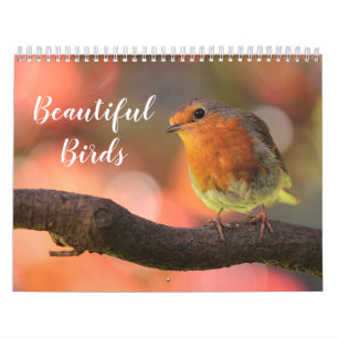 Calendrier 2026 Beaux oiseaux