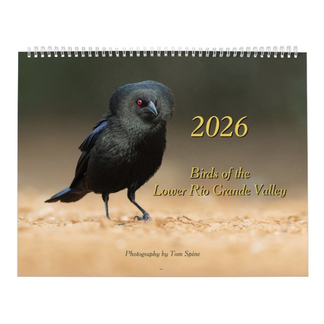 Calendrier 2026 - Birds of the Lower Rio Grande Valley Calend (Protection)