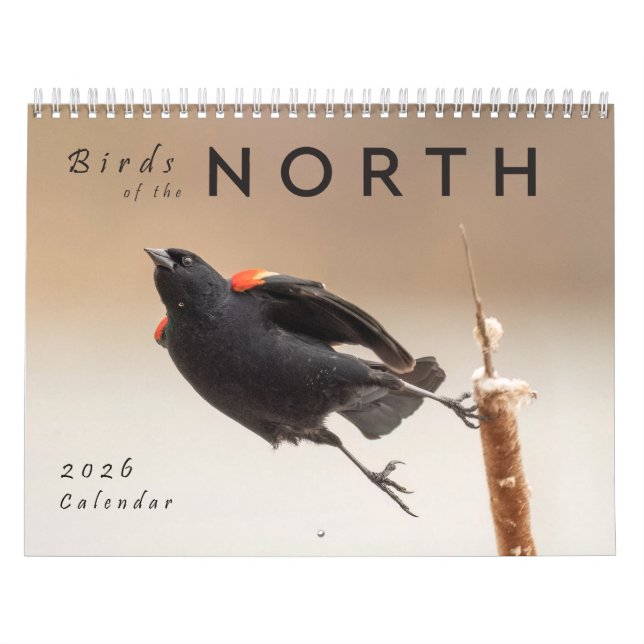 Calendrier 2026 Birds of the North: Great Lakes Calendar (Protection)