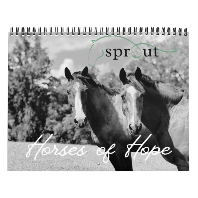 Calendrier 2026 Calendar (Protection)