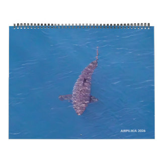 Calendrier 2026 Calendar Airpilikia 