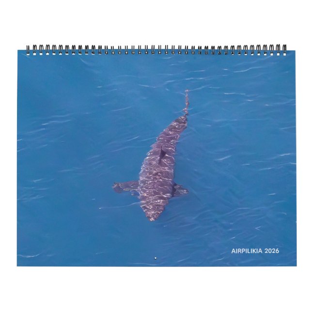 Calendrier 2026 Calendar Airpilikia  (Protection)