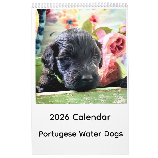 Calendrier 2026 Calendar Portuguese Water Dog (Protection)