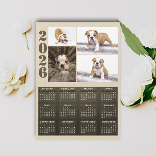 Calendrier 2026 Chien Animal Compagnon 4 Photo Col