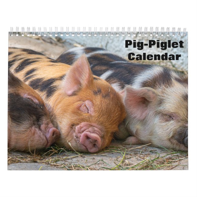 Calendrier 2026 Cochon-Porcelet (Protection)