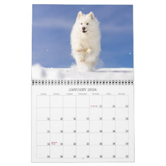 Calendrier 2026 CRB Calendar