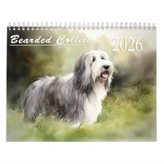 Calendrier 2026 des collies barrées