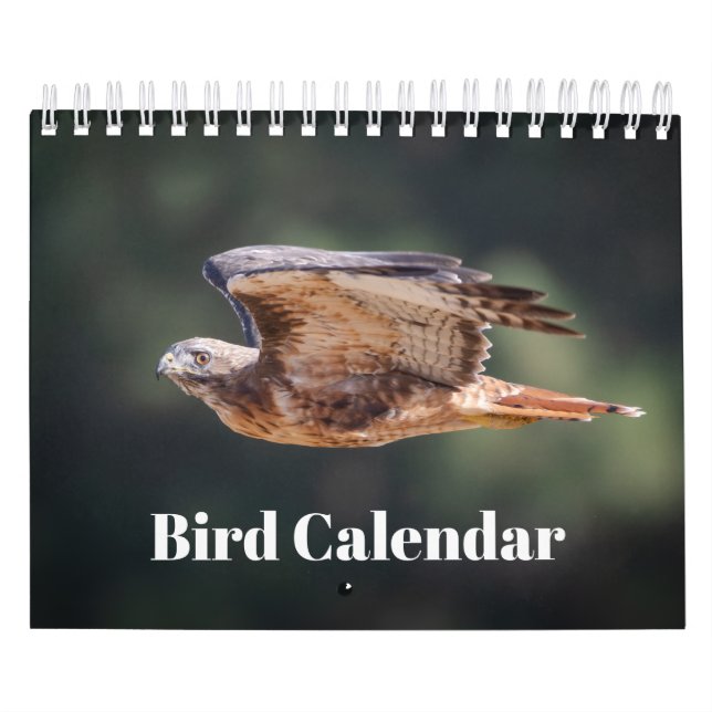 Calendrier 2026 des oiseaux (Protection)