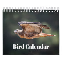 Calendrier 2026 des oiseaux