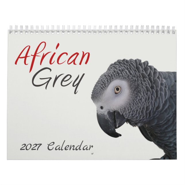 Calendrier 2026 du Perroquet Gris Africain (Protection)