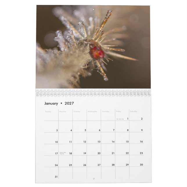 Calendrier 2026 inspiré de la nature (Jan 2027)