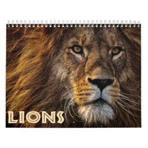 Calendrier 2026 Lions Sauvages