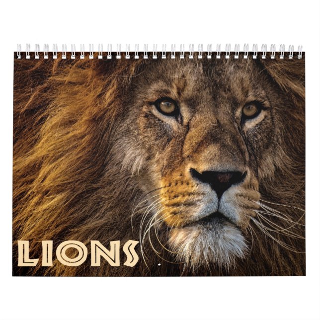Calendrier 2026 Lions Sauvages (Protection)