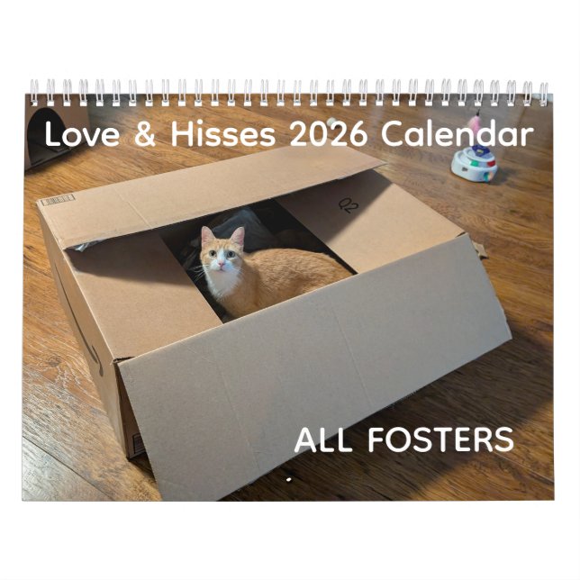 Calendrier 2026 Love & Hisses Calendar - ALL FOSTERS (Protection)