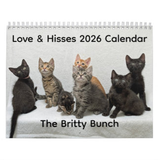 Calendrier 2026 Love & Hisses Calendar - the Britty Bunch
