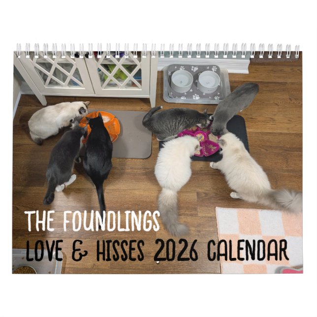 Calendrier 2026 Love & Hisses Calendar - the Foundlings (Protection)