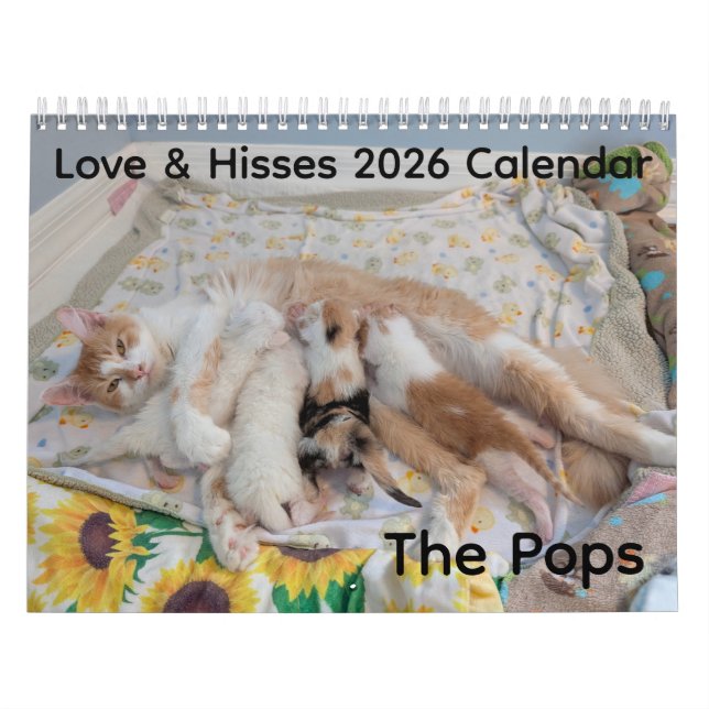 Calendrier 2026 Love & Hisses Calendar - the Pops (Protection)