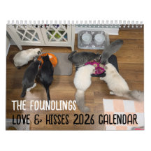 Calendrier 2026 Love & Hisses - les Enfants Trouvé