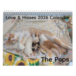Calendrier 2026 Love & Hisses - les Pops