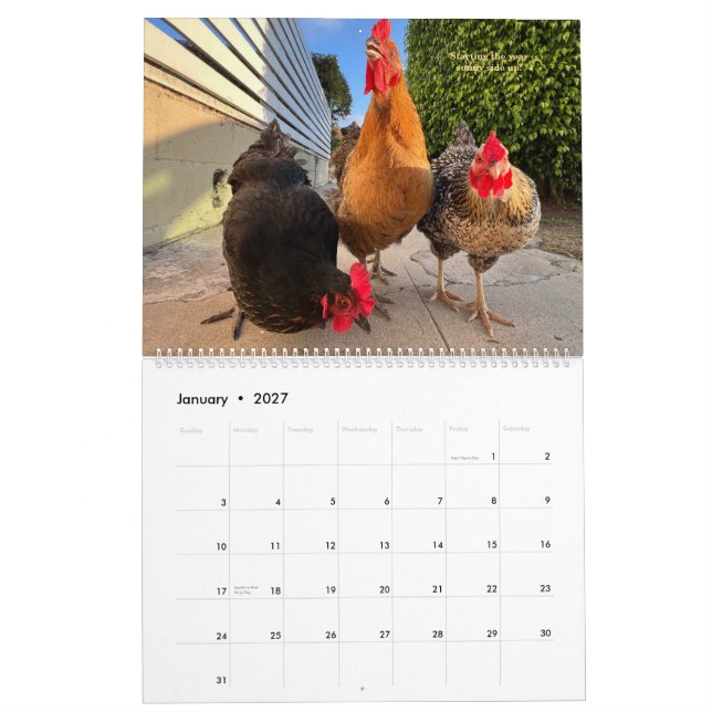 Calendrier 2026 Neighborhood Chicken Calendar - Large (Jan 2027)