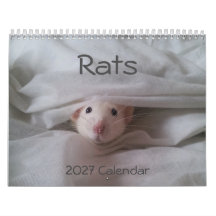 Calendrier 2026 pour rats de compagnie