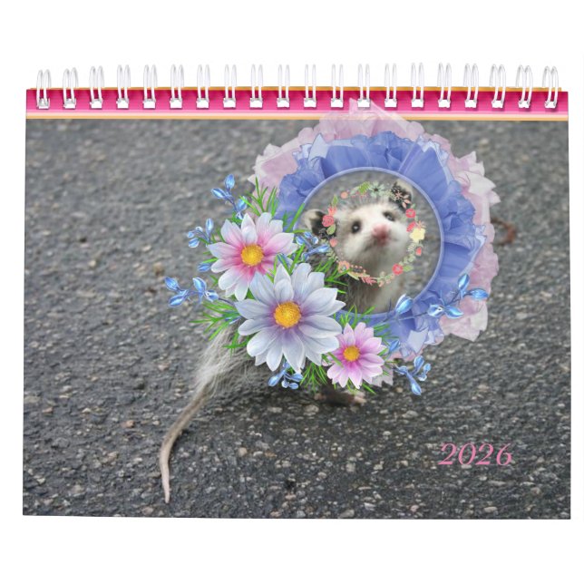 Calendrier 2026 Rayures colorées Opossum Floral (Dos)