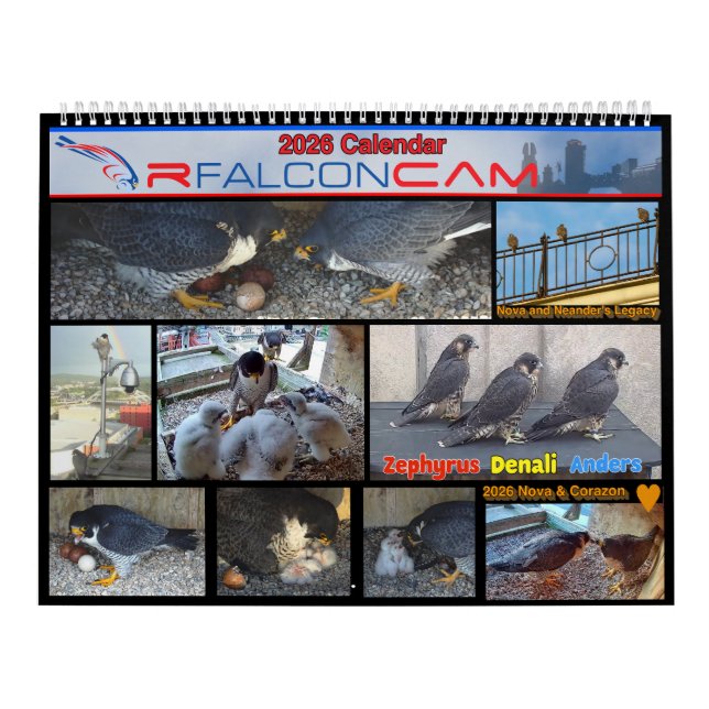 Calendrier 2026 Rfalconcam Calendar (Protection)