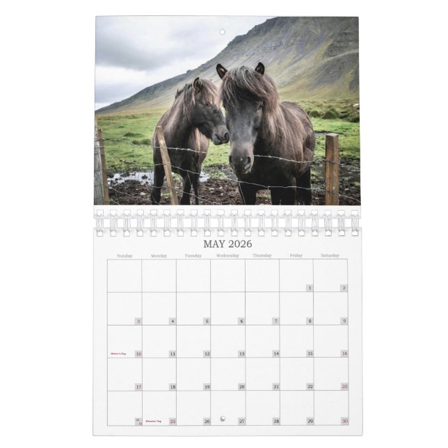 CALENDRIER 2026 SIMPLE HORSES CALENDAR (Mai 2026)