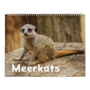 Calendrier 2026 Une année avec Meerkats