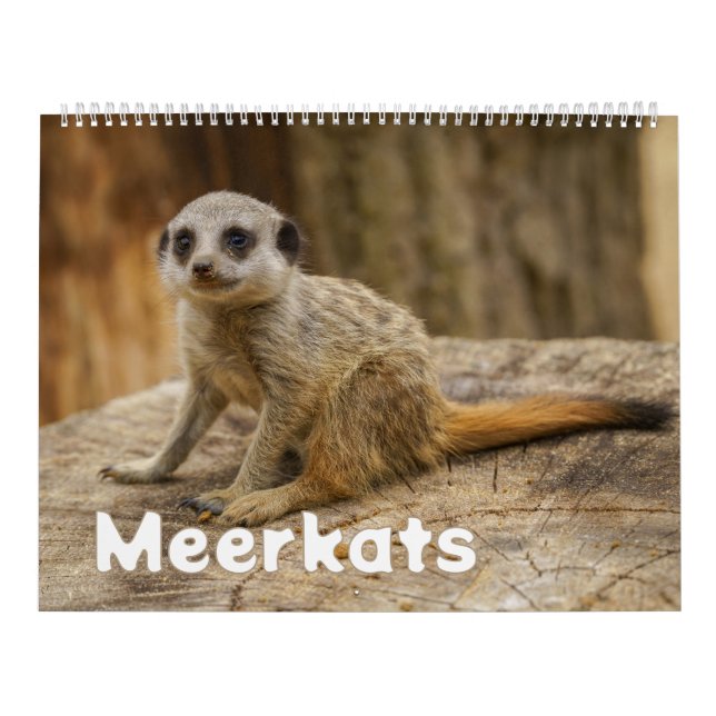 Calendrier 2026 Une année avec Meerkats (Protection)