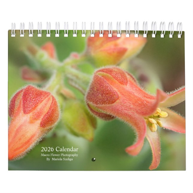 Calendrier 2026 Wall Calendar Flowers in Macro Photography (Protection)