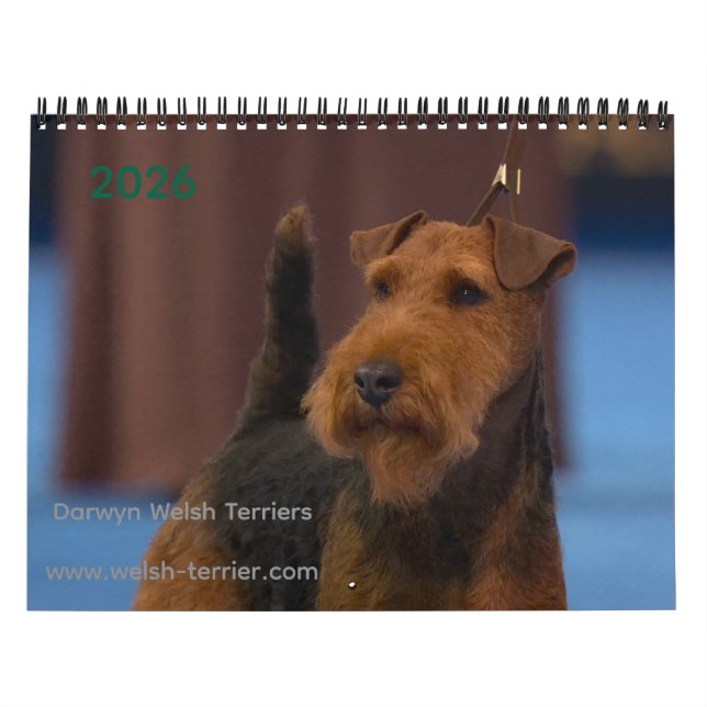 Calendrier 2026 Welsh Terrier Calendar (Protection)
