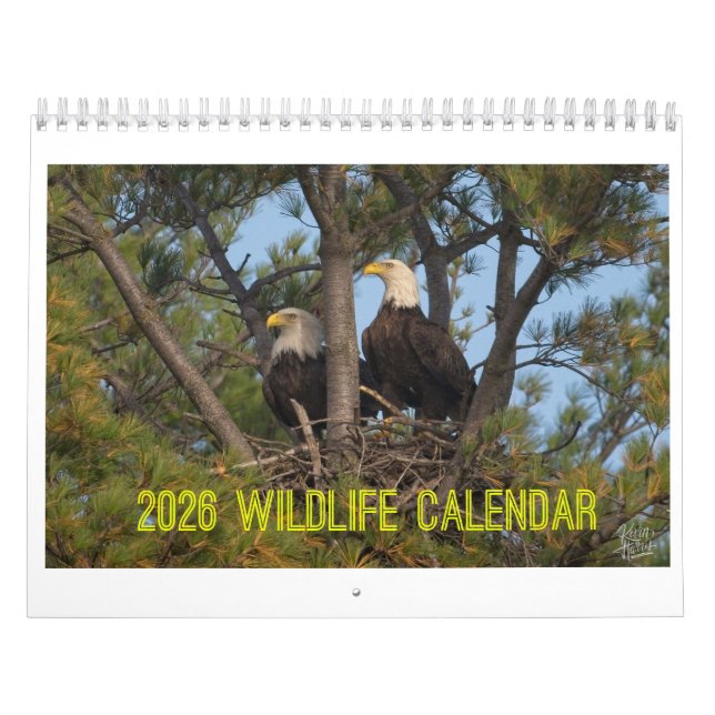 Calendrier 2026 Wildlife Calendar by Kevin Harris (Protection)