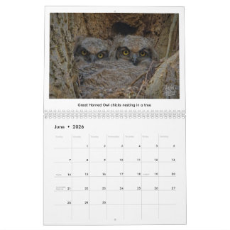 Calendrier 2026 Wildlife Calendar by Kevin Harris