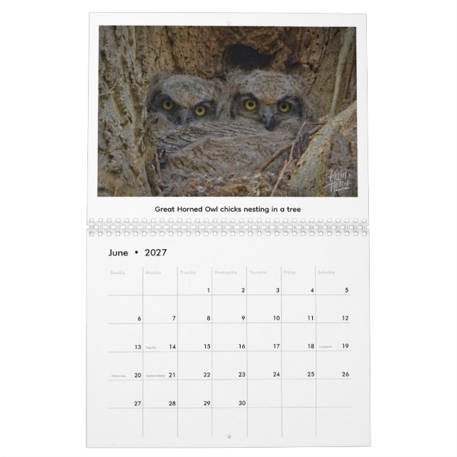 Calendrier 2026 Wildlife Calendar by Kevin Harris (Jun 2027)