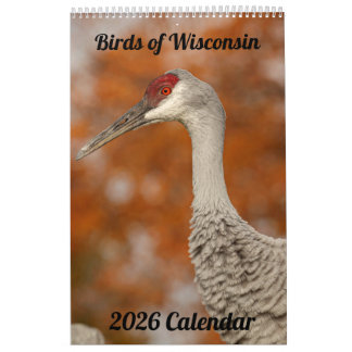Calendrier 2026 Wisconsin Birds Calendar