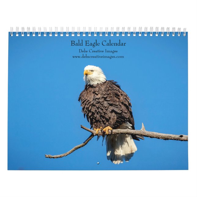 Calendrier 2027 Aigles royaux | Faune américaine (Protection)