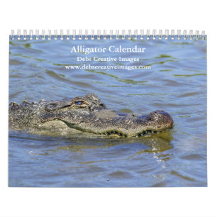 Calendrier 2027 Alligators sauvages en Floride Everglades s