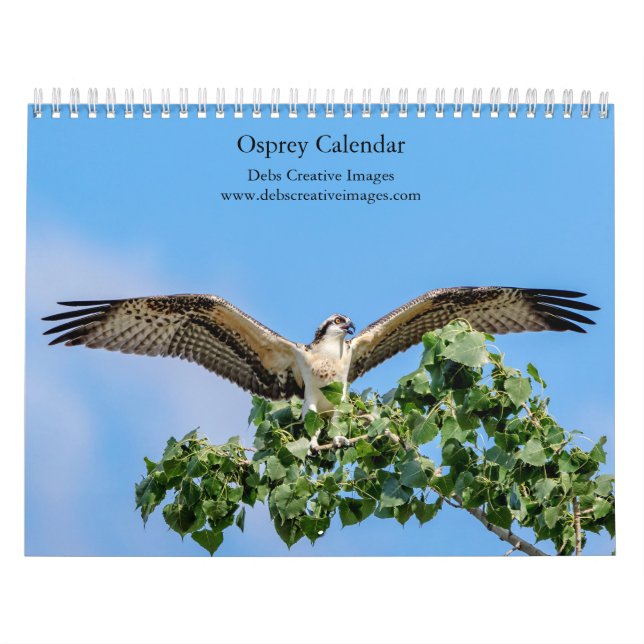 Calendrier 2027 Balbuzard | Rapaces de pêche majestueux (Protection)