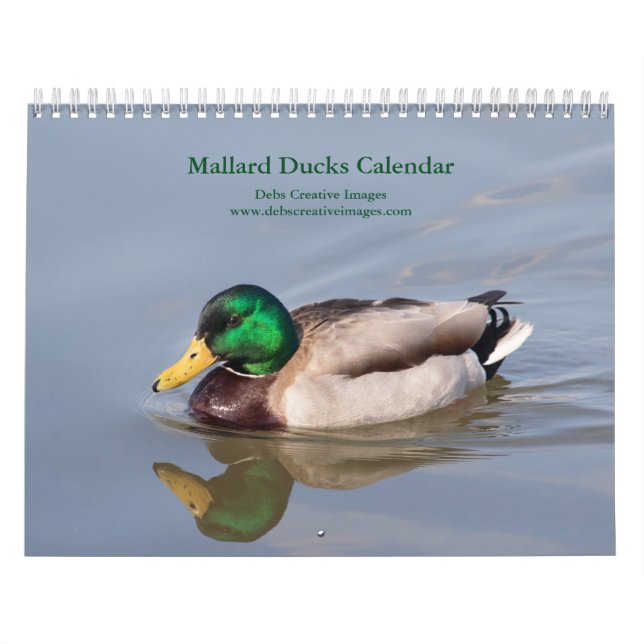 Calendrier 2027 Canards colverts | Photographie de faune (Protection)