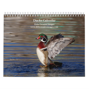 Calendrier 2027 Canards de New York   Photographie de la sauv