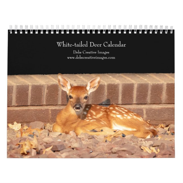 Calendrier 2027 Cerf à queue blanche | Faune de la vallée de  (Protection)