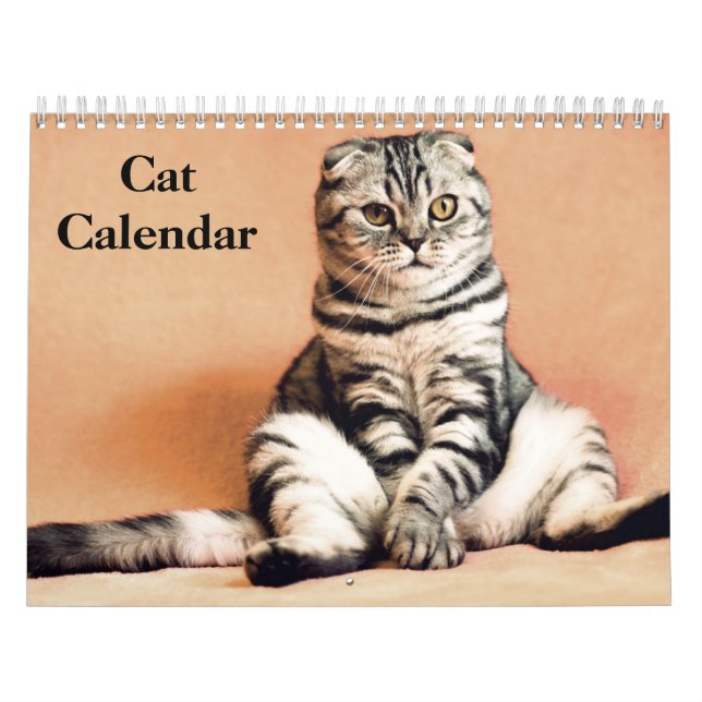 Calendrier 2027 Chat Bengal  (Protection)