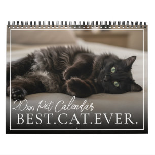 Calendrier 2027 Chat de compagnie personnalisé Meilleur chat